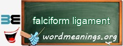 WordMeaning blackboard for falciform ligament